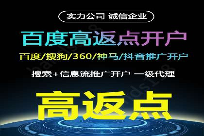 百度竞价包年推广：成功案例解析与效果评估